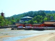 新緑の厳島神社