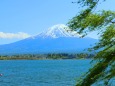 新緑の富士山