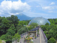 フラワードームと大山 花回廊