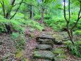 初夏の熊野古道