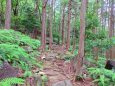 初夏の熊野古道