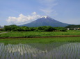 田んぼ逆さ富士