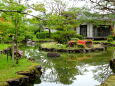 梅雨晴れの庭園