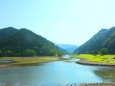 初夏の水辺