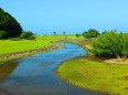 初夏の水辺