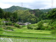 山村集落 梅雨の季節