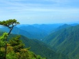 初夏の紀伊山地