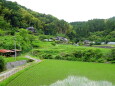 山間集落梅雨の季節