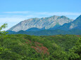 大山 南壁 夏