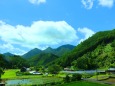 夏の里山