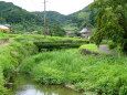 緑の山里