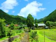 夏の里山