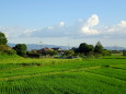 夏の緑 里風景