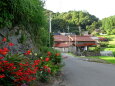 花が咲いている山村の道