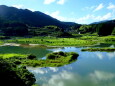 晩夏の水風景