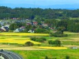 秋の平泉