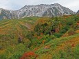 立山の秋