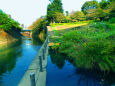 10月の石神井川遊水池