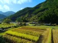 秋の里山