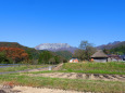 山里の秋 大山