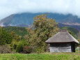 山里の秋 大山 2