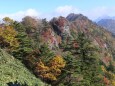 登山道からの眺め