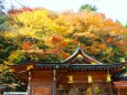 貴船神社秋