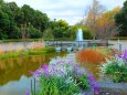 京都府立植物園秋