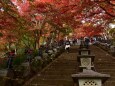 雨降山大山寺の石段