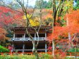 貴船神社秋