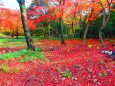 養老公園