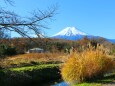 忍野八海初冬