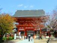 迎春八坂神社