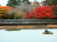 龍安寺