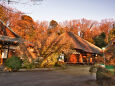 朝日を浴びる寺