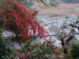 冬景色 山寺の門前集落