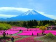 富士山春