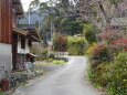 山村の田舎道