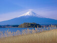 春の陽射しを浴びる富士山