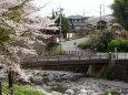 里の春景色