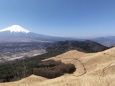 高座山からの富士山