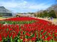 京都府立植物園春