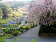 山寺の門前集落