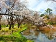 京都府立植物園春