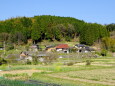 春が訪れた山村集落