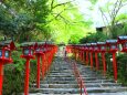 新緑の貴船神社