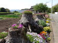 田舎道の花壇