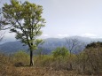 雲谷山頂の風景