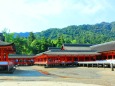 新緑の厳島神社