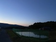 夕暮れの田んぼ